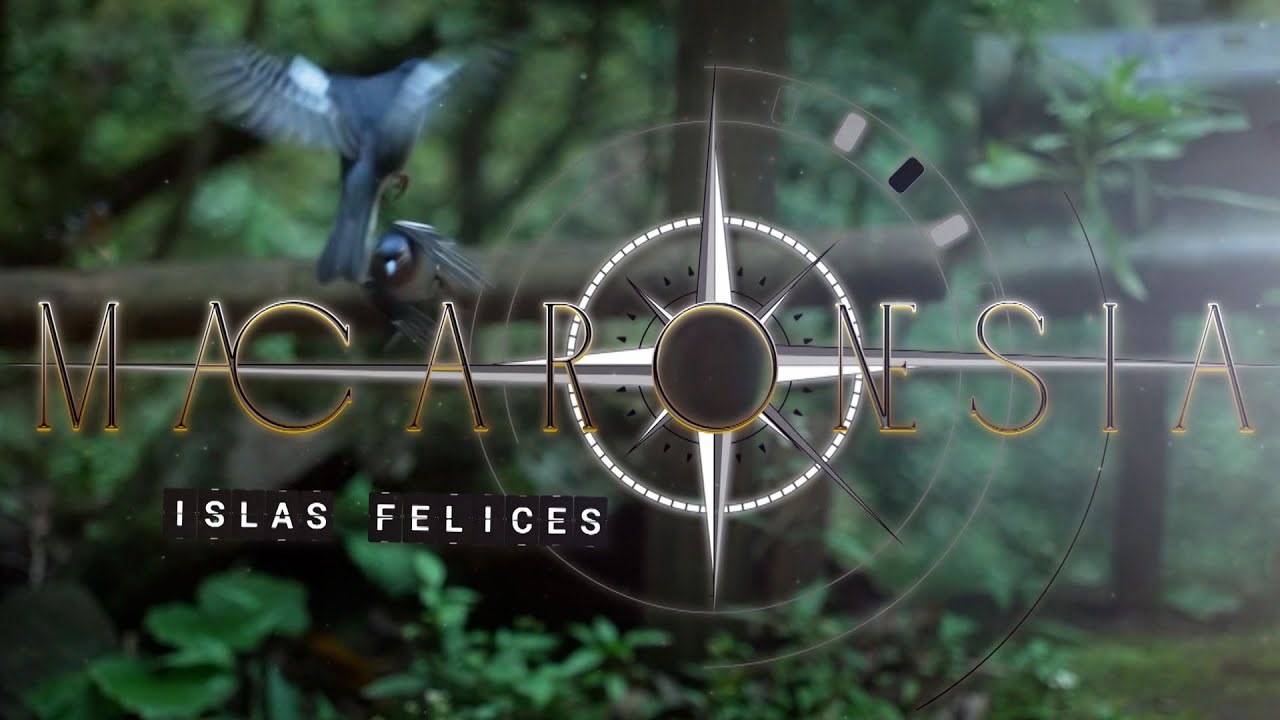 VÍDEO | Avance de ‘Macaronesia, islas felices’ en un trailer.