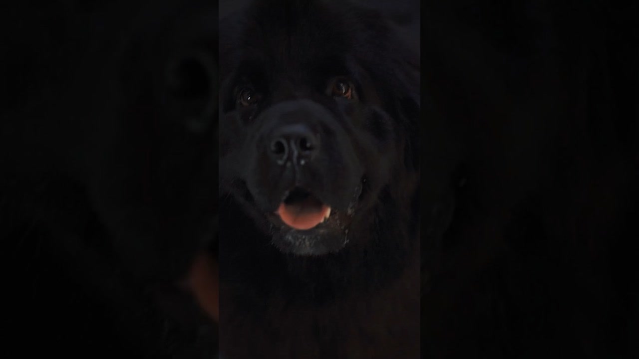 #StillUp: Un vídeo para quienes temen golpes tardíos de su extraño vecino.