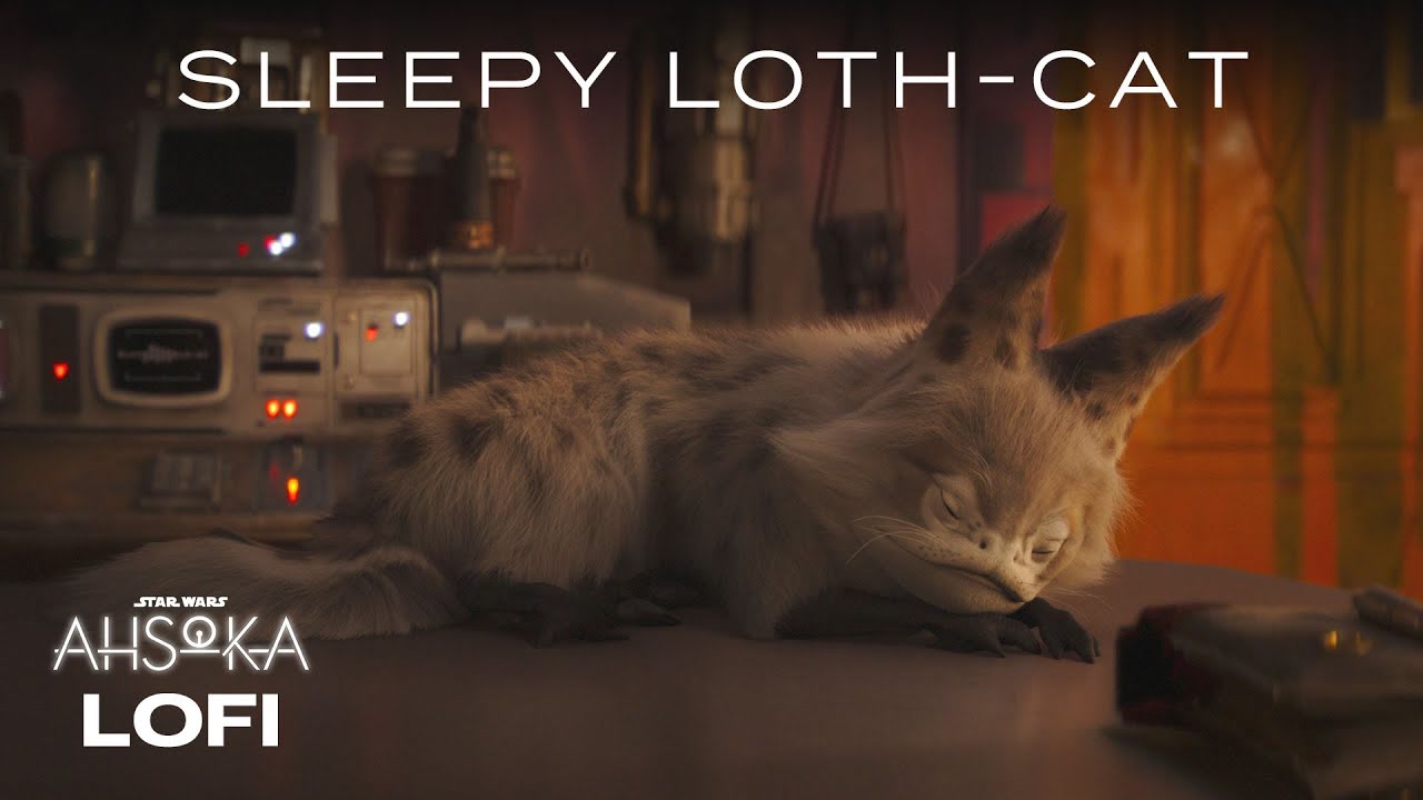 Vídeo de Sabine’s Loth-Cat en Star Wars Lofi | #Ahsoka Season Finale Tonight