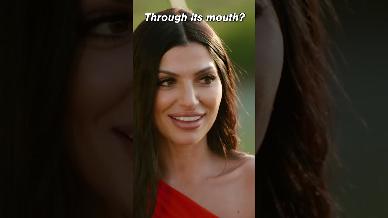 Video: ¿Cómo alimentar a un caballo? #quieroungranjero

Nota: El hashtag #farmerwantsawife no tiene una traducción precisa en español.