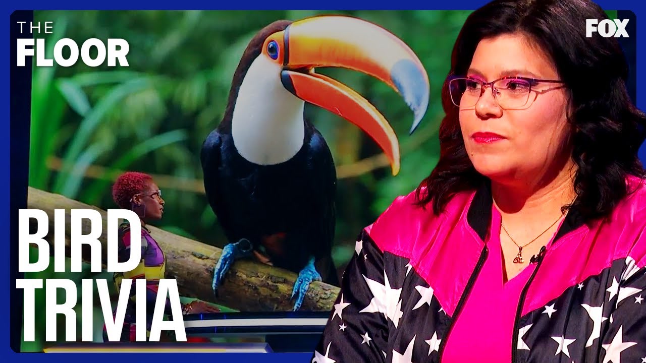 ¿Puedes identificar a todas estas aves diferentes? | El desafío.