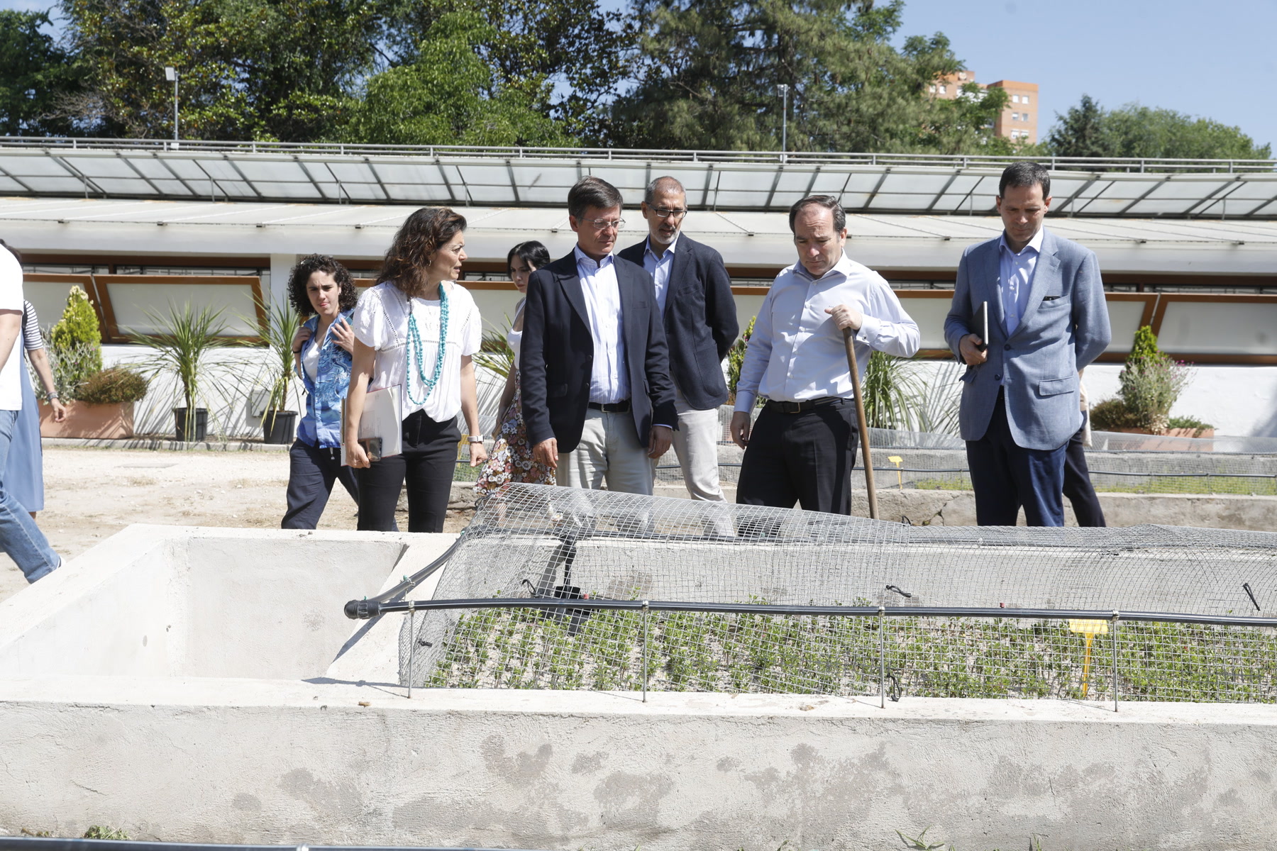 Récord verde en Madrid: viveros municipales producen 383.000 árboles, arbustos y plantas en 2023