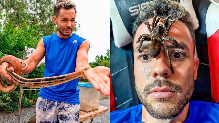 TheGrefg se enfrenta a su mayor miedo junto a Frank y revela su experiencia inolvidable