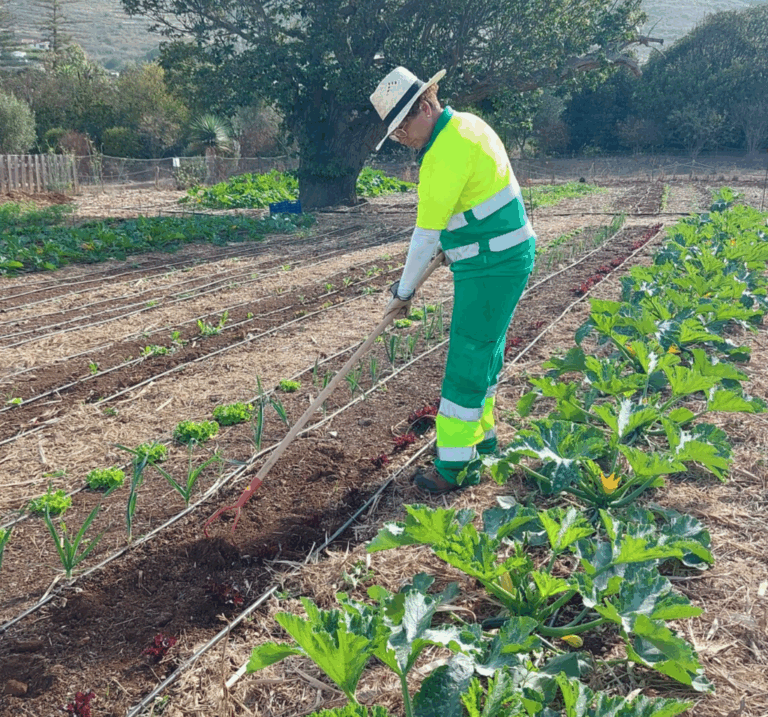 El Ayuntamiento de Tegueste impulsa el proyecto “Tegueste Verde” con una subvención de 283.000 euros