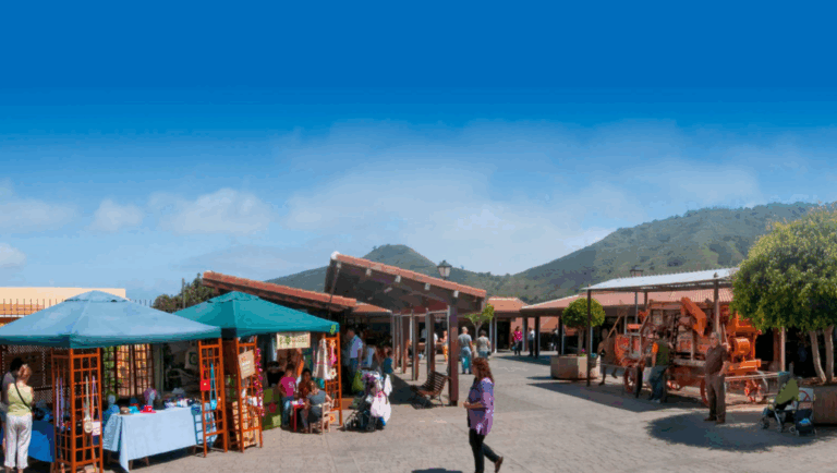 El Ayuntamiento de Tegueste recibe 7.600 euros para mejorar instalaciones en el Mercadillo del Agricultor