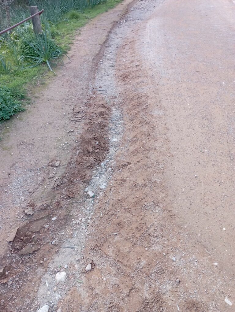 El Ajuntament de Palma renueva el pavimento dañado de los caminos del bosque de Bellver