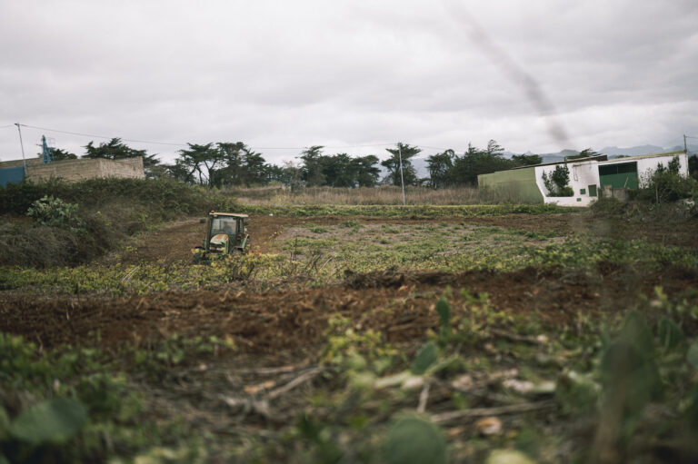El Ayuntamiento de San Cristóbal de La Laguna lanza una encuesta para mejorar la gestión de residuos del sector primario