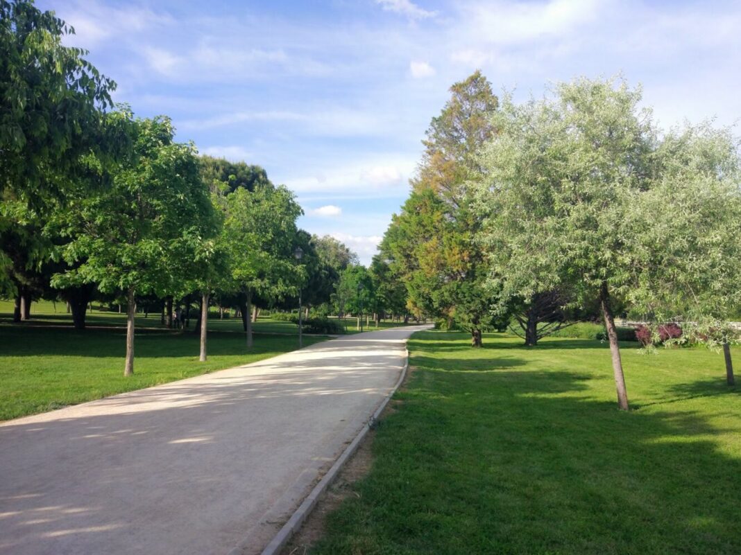 Imagen de zona verde en parque madrileño