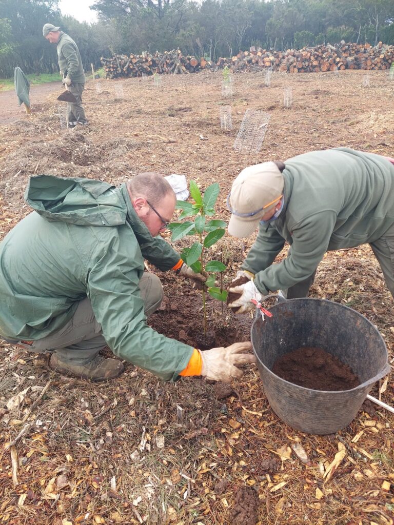 Recuperación de Mesa Mota: La Laguna Promueve la Biodiversidad y Sostenibilidad