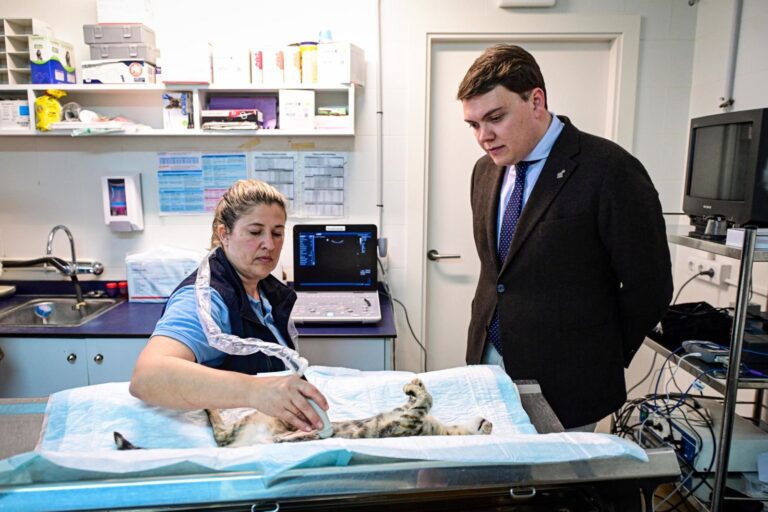 Son Reus Mejora su Asistencia Veterinaria con Tecnología Avanzada
