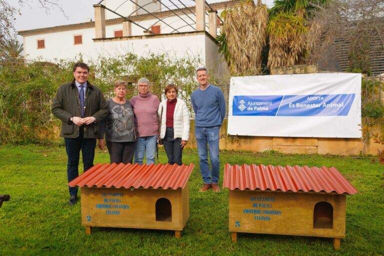 Cort Optimiza la Protección de Gatos en Colonias Felinas con Nuevos Arcones