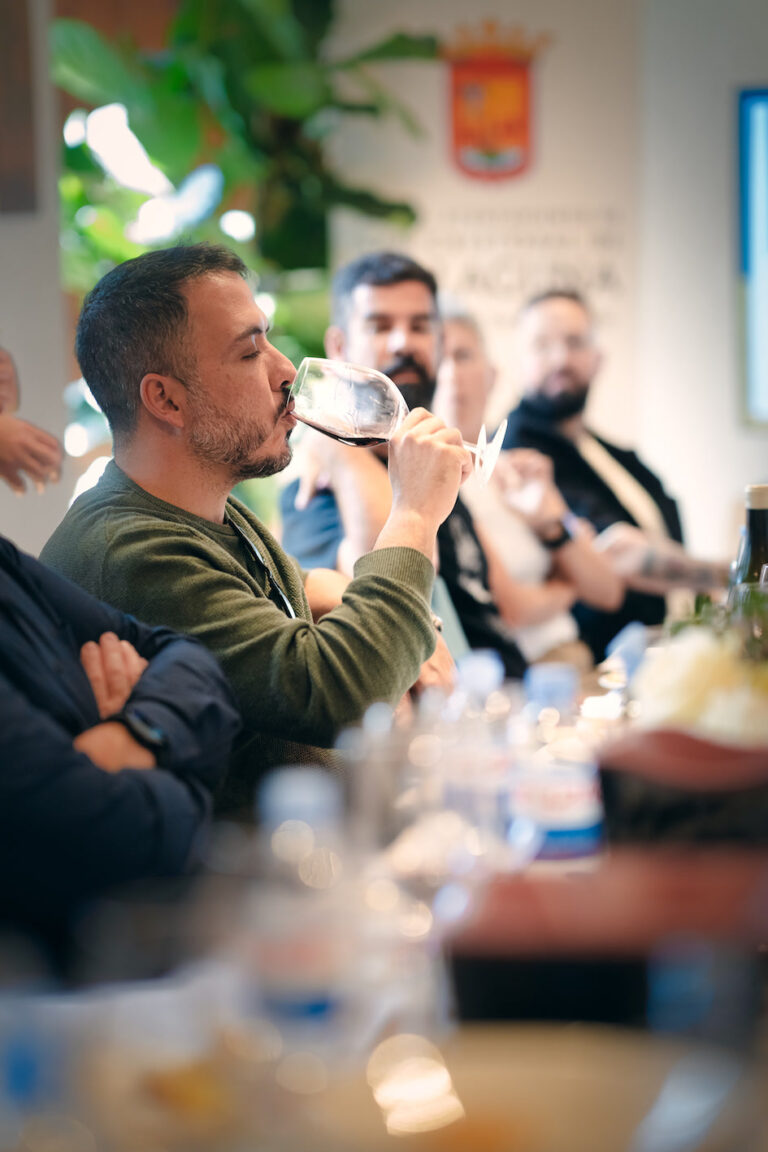 Descubre los Tesoros Volcánicos: Vinos Canarios Celebran La Laguna
