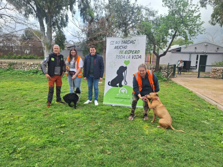 Desfile de perros en Son Reus: Únete a la adopción con Peluditos