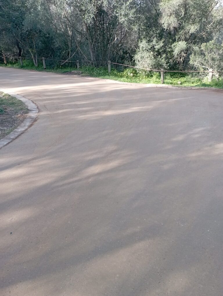 Finalizan las Obras de los Caminos Perimetrales en el Bosque de Bellver