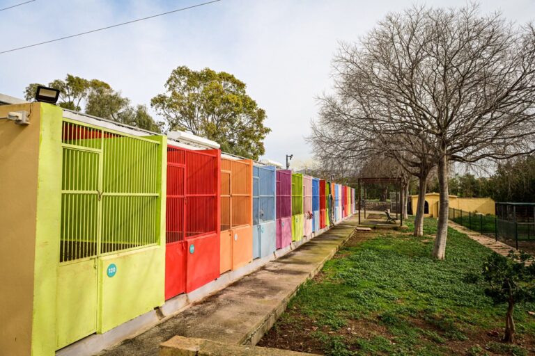 Palma Aprueba Contratación de Dietas Especiales para Animales en Son Reus