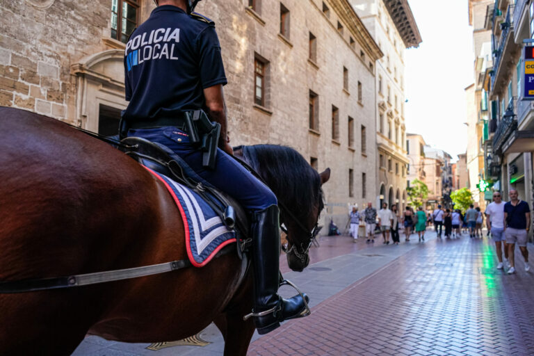 Palma aprueba suministro de camas para caballos de la Policía Montada