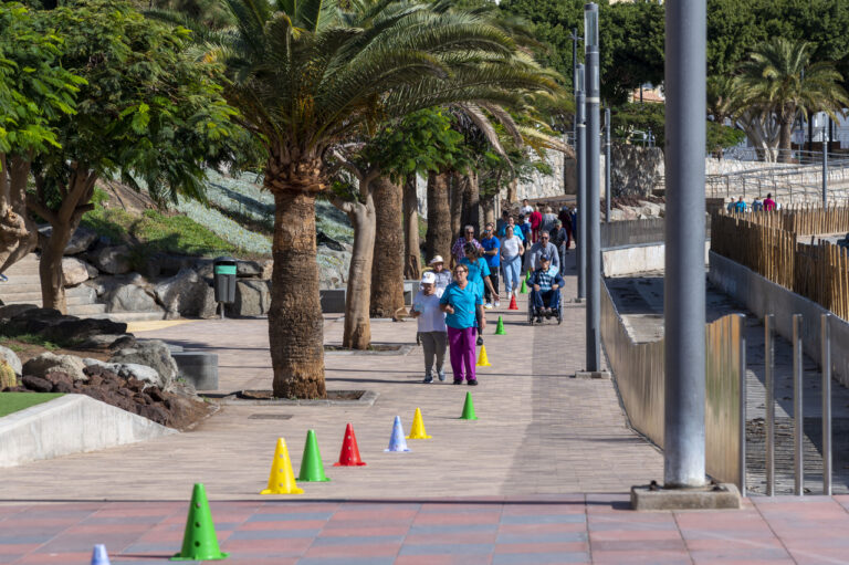 Caminata Activos por la Salud: Celebración del Día Mundial en Mogán