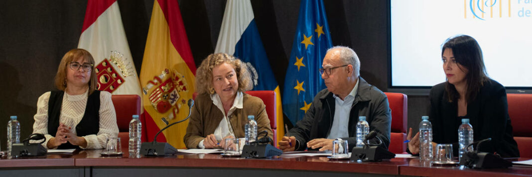 Imagen de El Cabildo de La Gomera recibe a la Comisión de Discapacidad del Parlamento de Canarias 