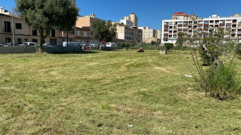 Nuevo Parque Canino en Palma: Mejoras y Espacio Ideal para Mascotas