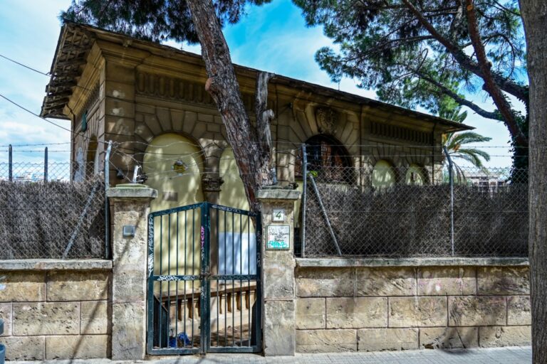 Rehabilitación del Velódromo del Tirador: Palma avanza hacia un pulmón verde