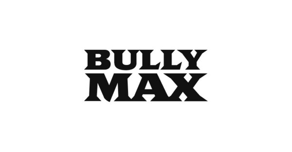 Bully Max brilla en los American Advertising Awards 2025: ¿qué logros obtuvo?