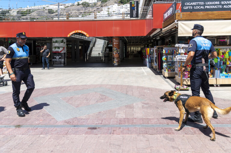 Policía Local de Mogán y Ares: Combatiendo el tráfico de drogas eficazmente