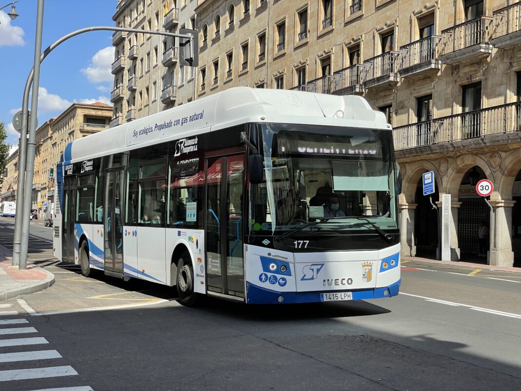 Bus